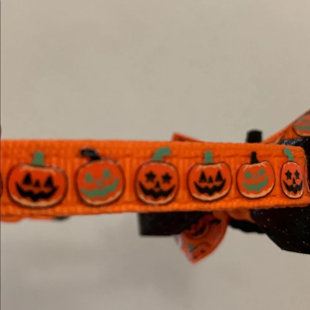 Cat Jack O Lantern Pumpkin Collar Bell Breakaway Latch Orange Black Green